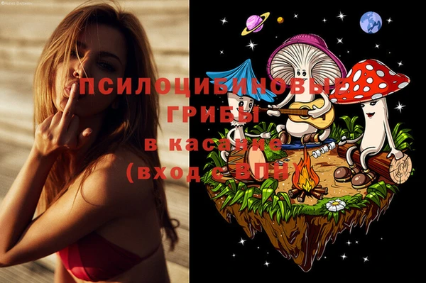 марки lsd Богданович
