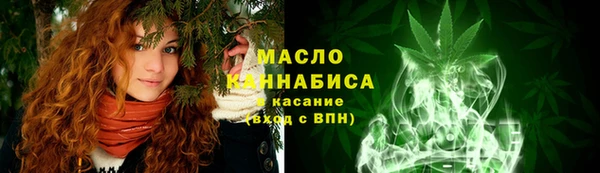 ECSTASY Богородицк