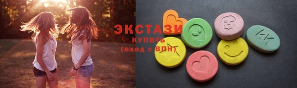 ECSTASY Богородицк