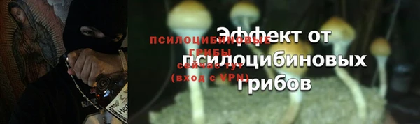 ECSTASY Богородицк