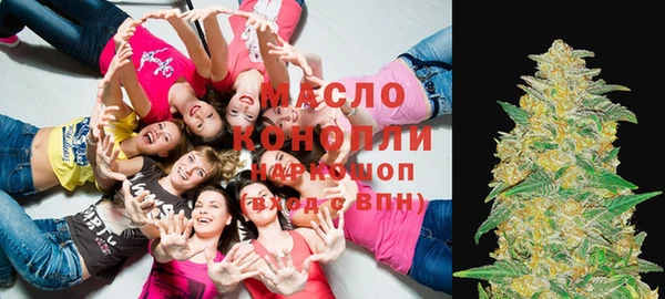 ECSTASY Богородицк
