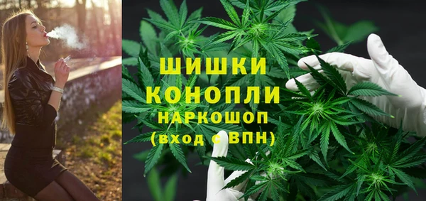 ECSTASY Богородицк