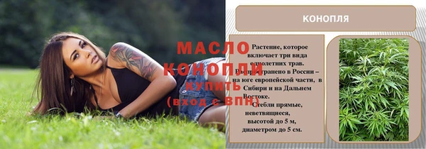 ECSTASY Богородицк