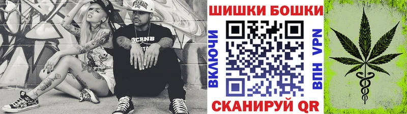 Каннабис OG Kush  Павловск 